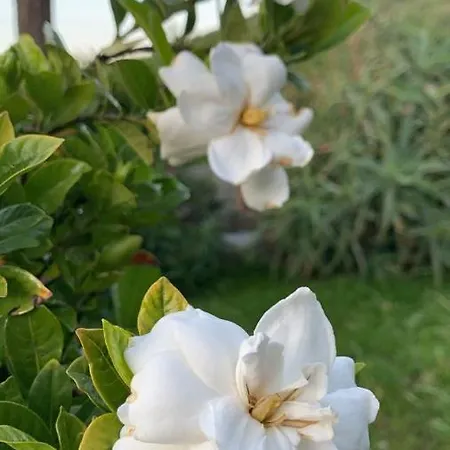 La Petra Longa B&B *