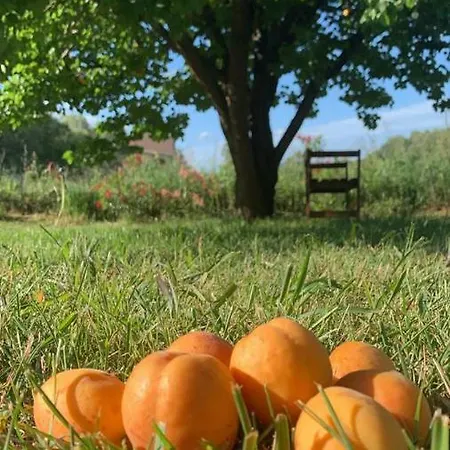 Bed & Breakfast La Petra Longa 3*